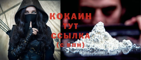 дурь Осташков