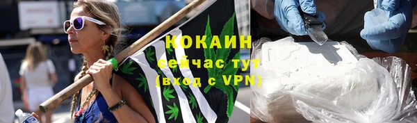 дурь Осташков