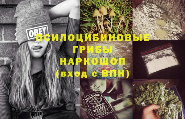 дурь Осташков