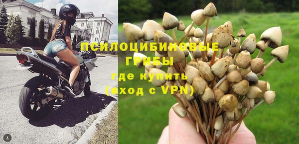 дурь Осташков