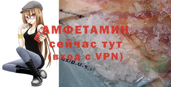 дурь Осташков