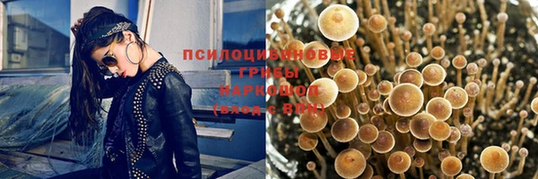 дурь Осташков