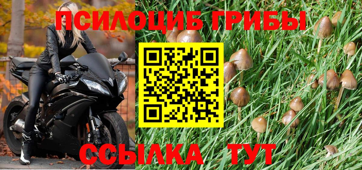 Псилоцибиновые грибы прущие грибы  Вход с VPN  Лабинск 